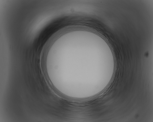 X0000090410431200707130929