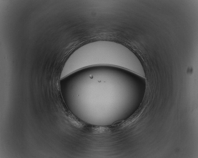 X0000090410432200707130929