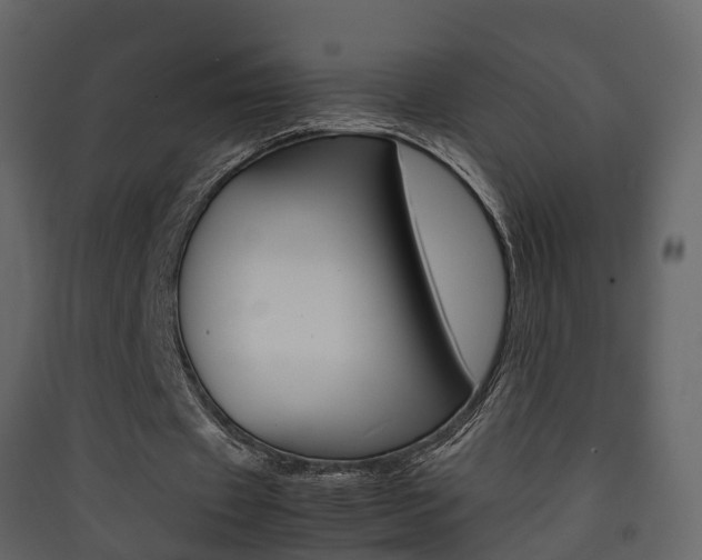 X0000090410433200707130928
