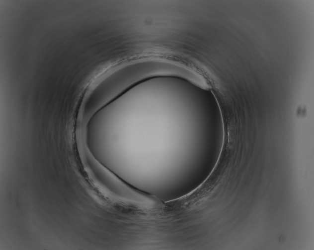 X0000090410436200707130928