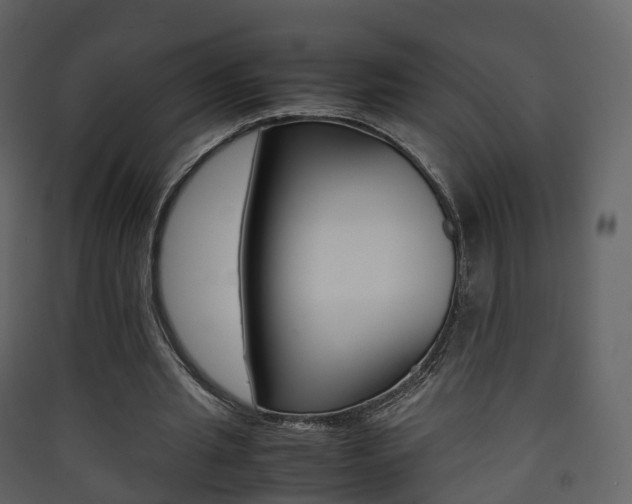 X0000090410437200707130928