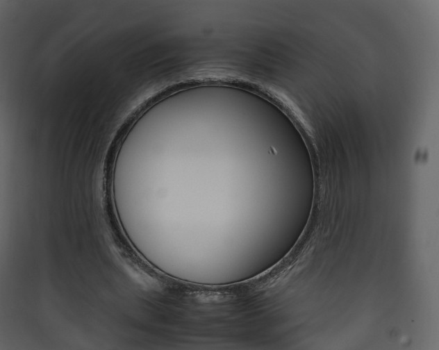 X0000090410439200707130929
