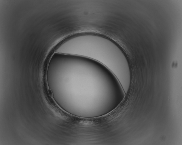X0000090410440200707130929