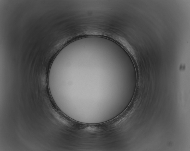 X0000090410441200707130929