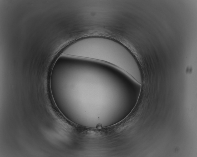 X0000090410442200707130929