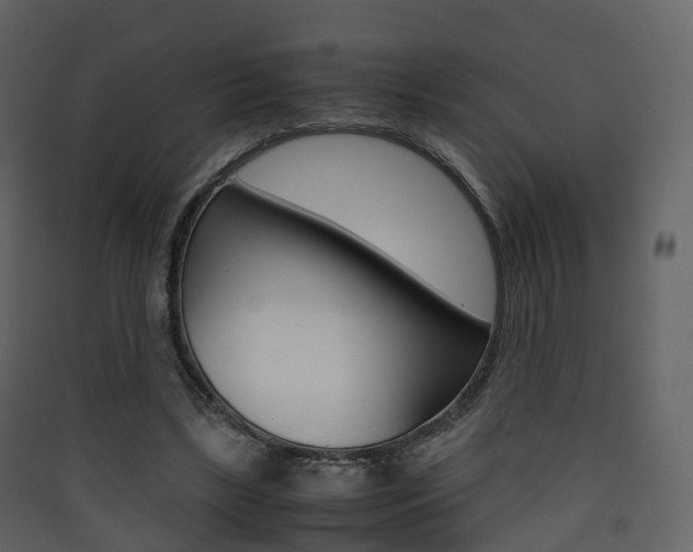 X0000090410443200707130929