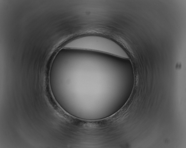 X0000090410444200707130929