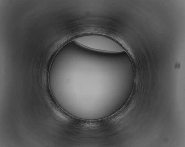 X0000090410445200707130929