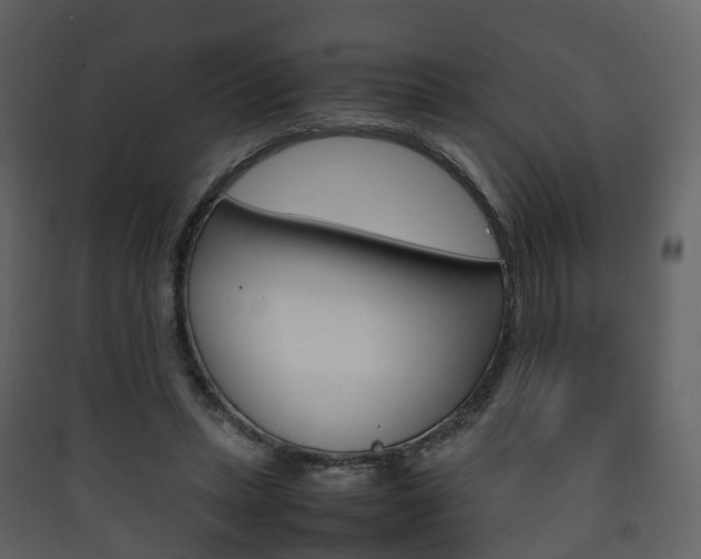 X0000090410447200707130929