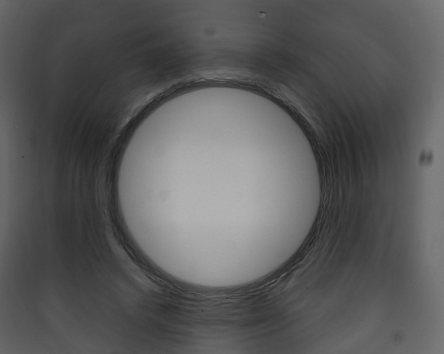 X0000090410448200707130929