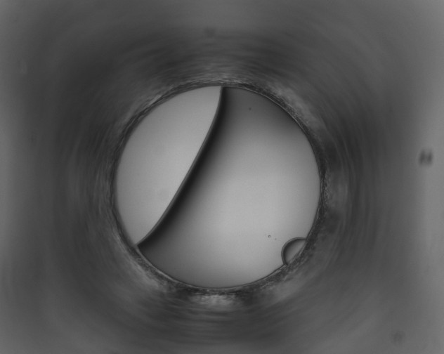 X0000090410449200707130929
