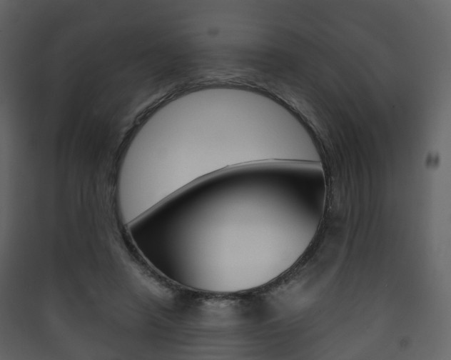 X0000090410450200707130929