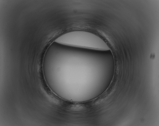 X0000090410451200707130929