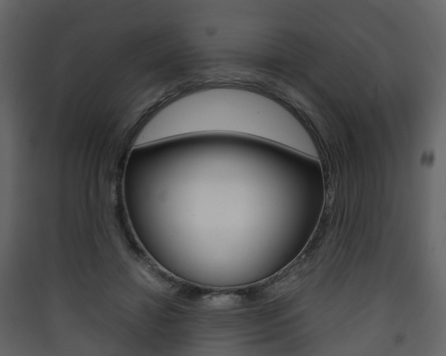 X0000090410452200707130929