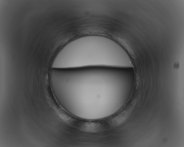 X0000090410453200707130929