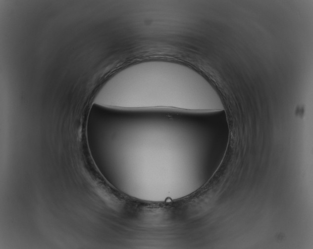 X0000090410454200707130929