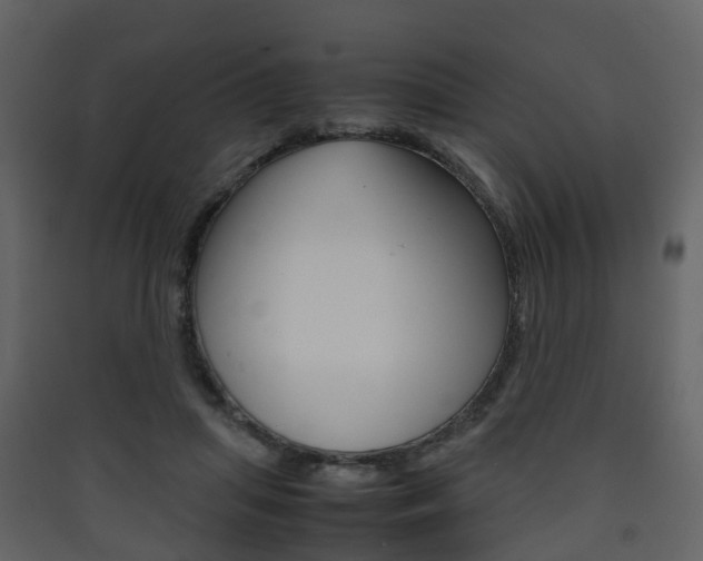 X0000090410455200707130929