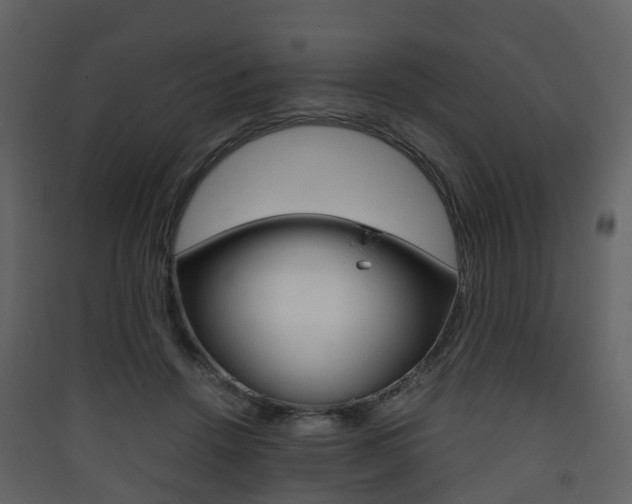 X0000090410456200707130929