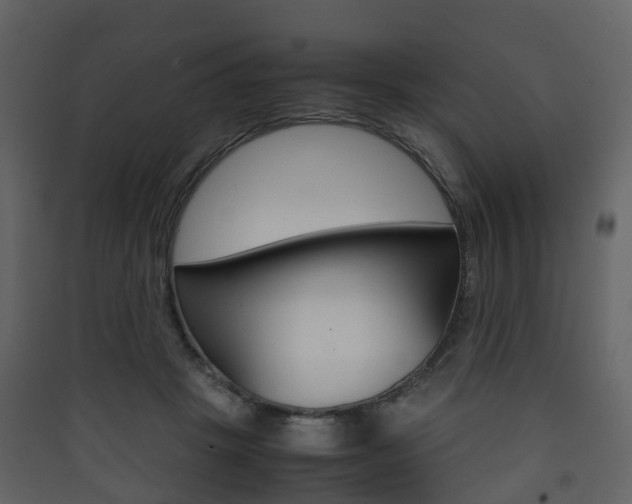 X0000090410457200707130929