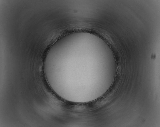 X0000090410458200707130929