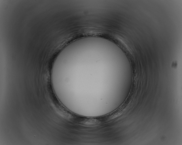 X0000090410459200707130929