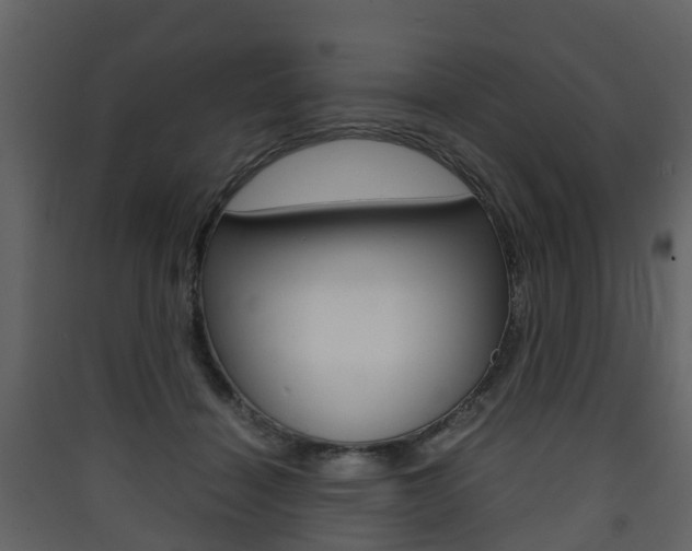 X0000090410460200707130929