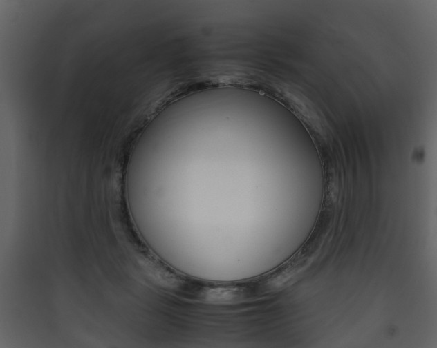 X0000090410461200707130929