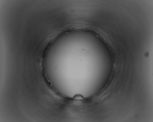 X0000090410462200707130929