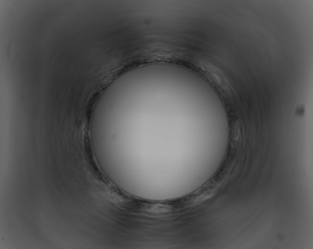 X0000090410463200707130929