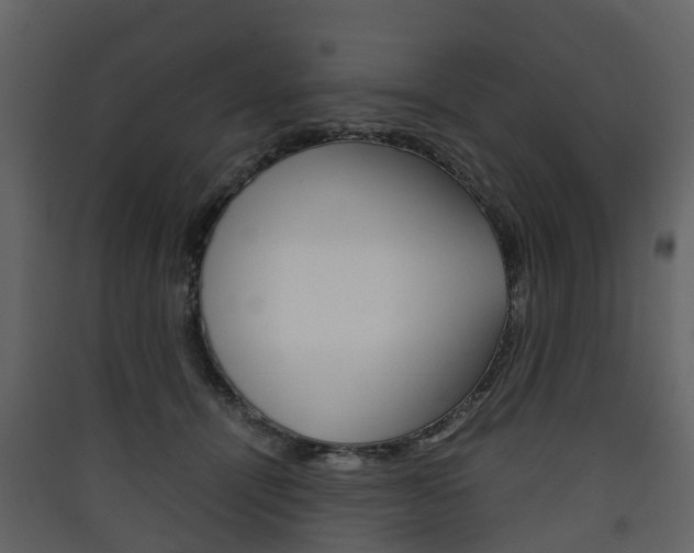 X0000090410464200707130929