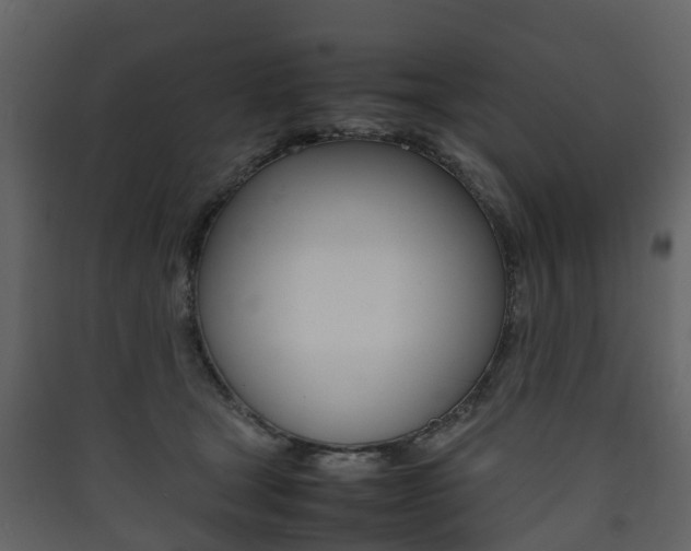 X0000090410465200707130929