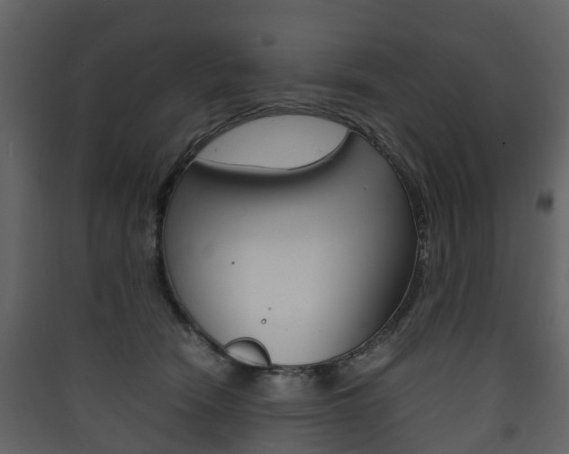 X0000090410466200707130929