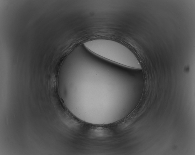 X0000090410467200707130929
