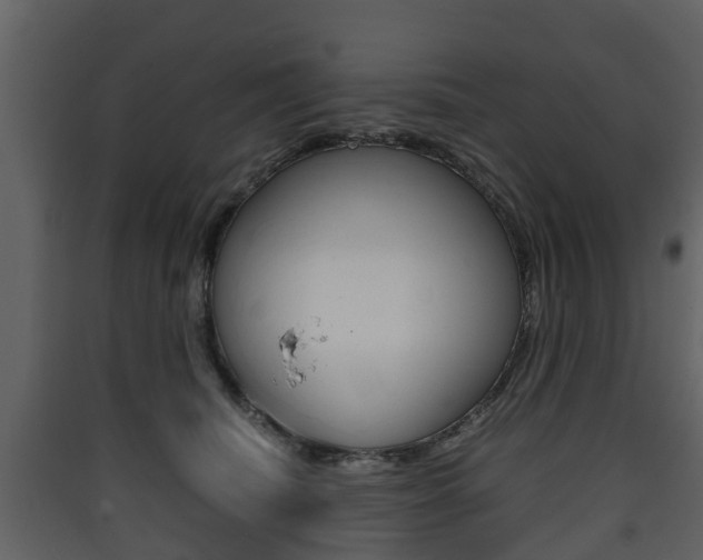 X0000090410468200707130929