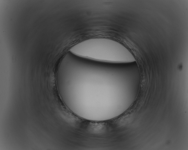 X0000090410469200707130929