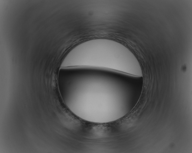 X0000090410470200707130929