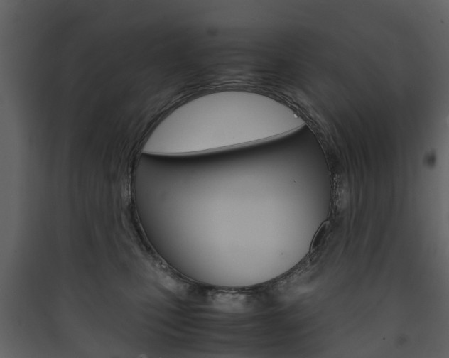 X0000090410471200707130929