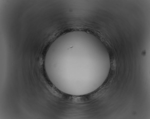 X0000090410472200707130929