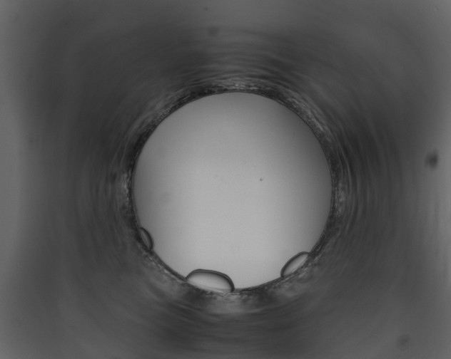X0000090410473200707130929
