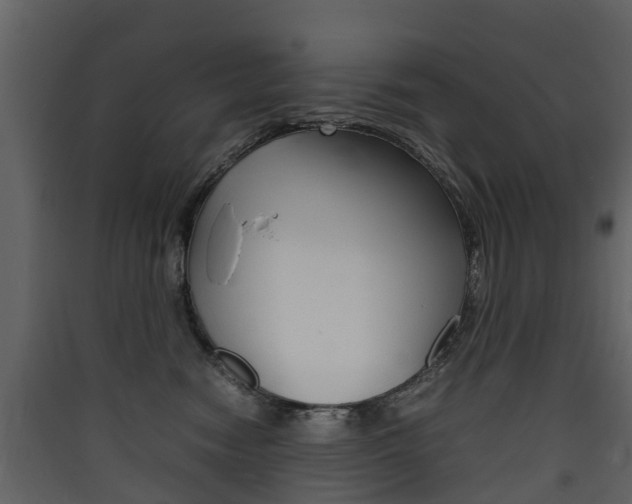 X0000090410474200707130929