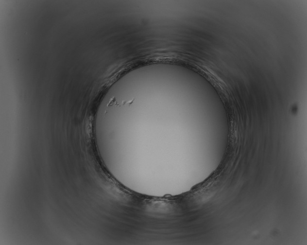 X0000090410475200707130929