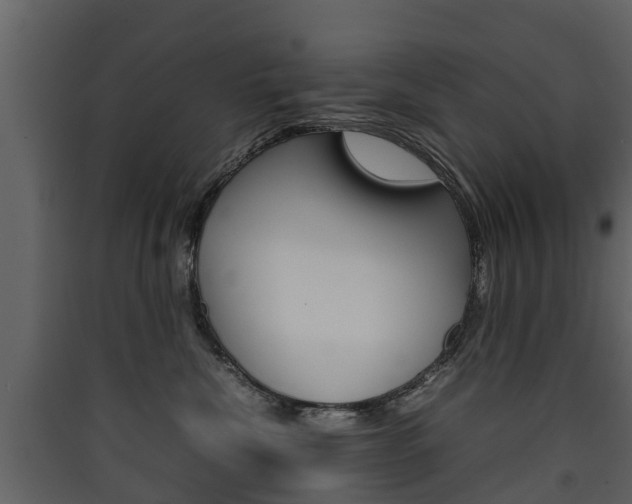 X0000090410476200707130929
