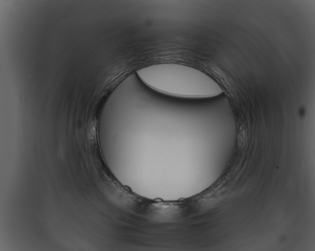 X0000090410477200707130929