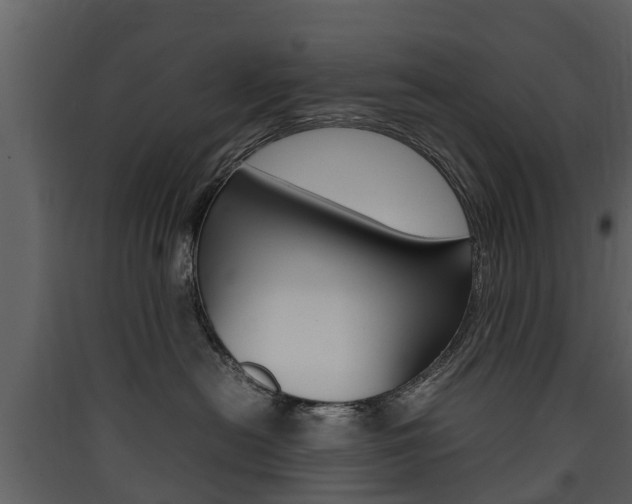 X0000090410478200707130929