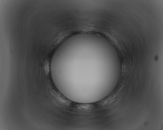 X0000090410479200707130929