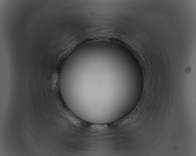 X0000090410480200707130929