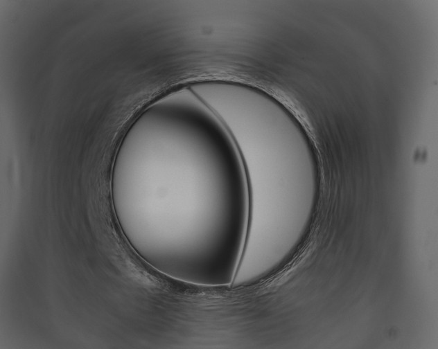 X0000090410481200707130928