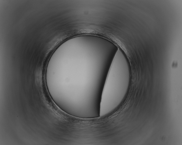 X0000090410482200707130928
