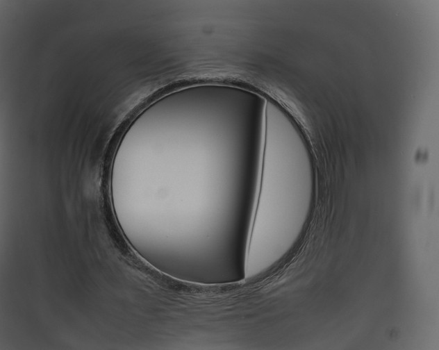X0000090410483200707130928