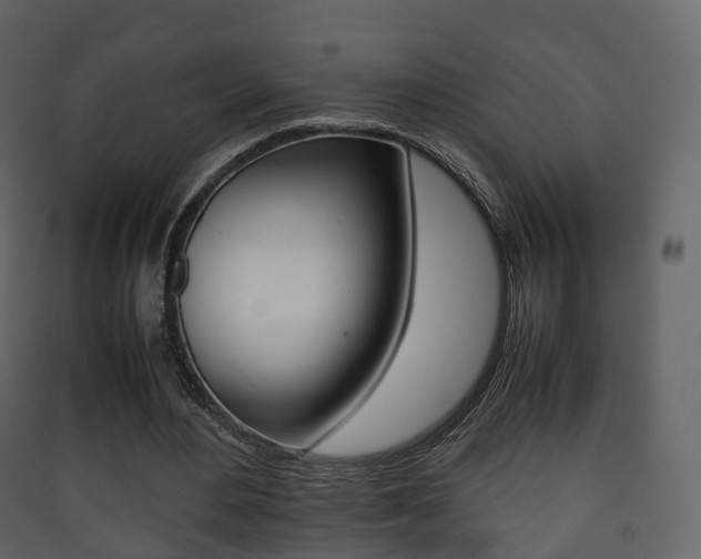 X0000090410484200707130928